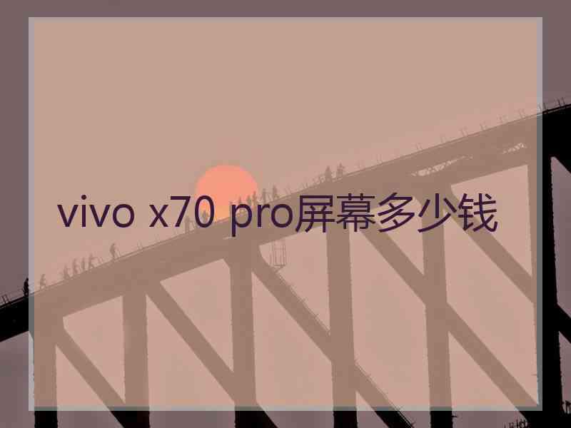 vivo x70 pro屏幕多少钱