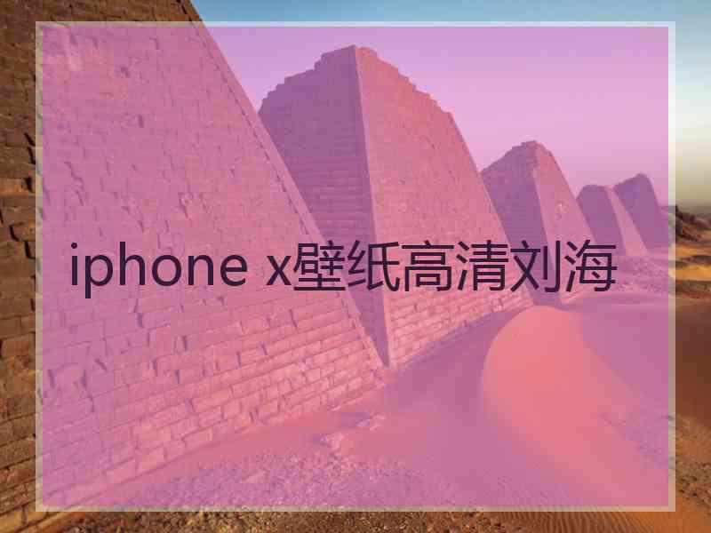 iphone x壁纸高清刘海