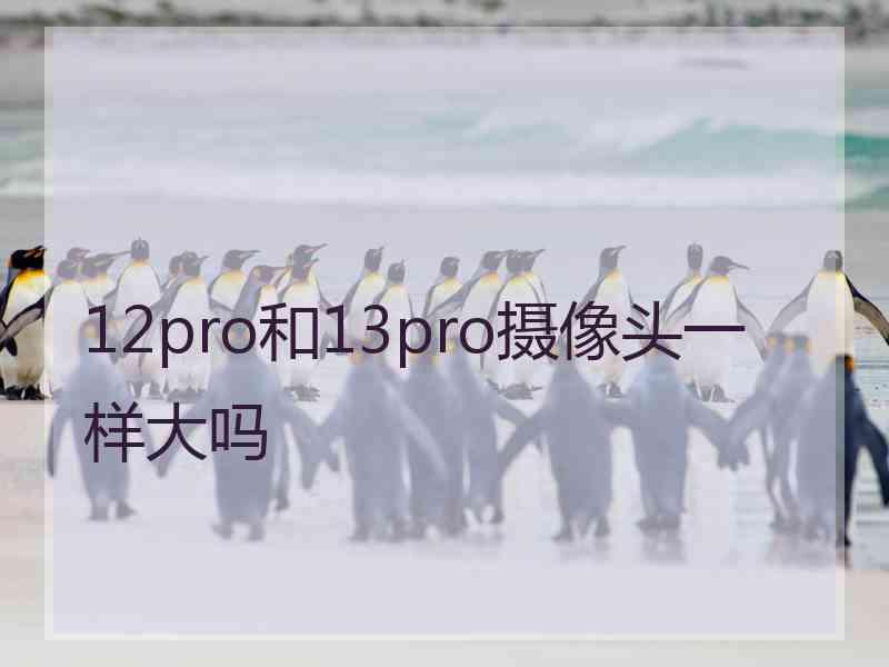 12pro和13pro摄像头一样大吗