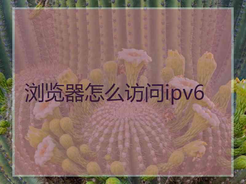 浏览器怎么访问ipv6