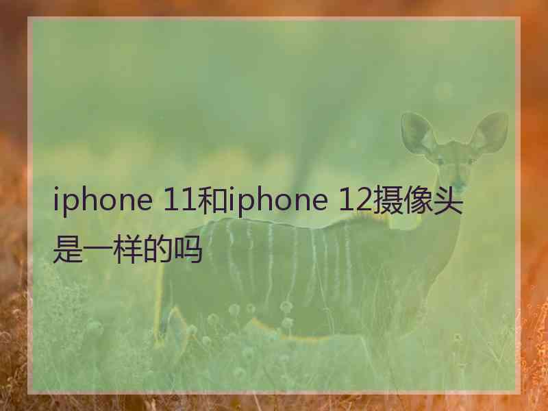 iphone 11和iphone 12摄像头是一样的吗