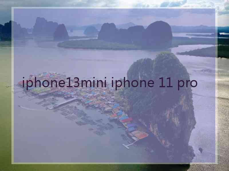 iphone13mini iphone 11 pro