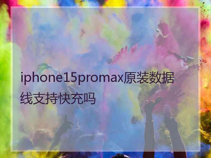 iphone15promax原装数据线支持快充吗