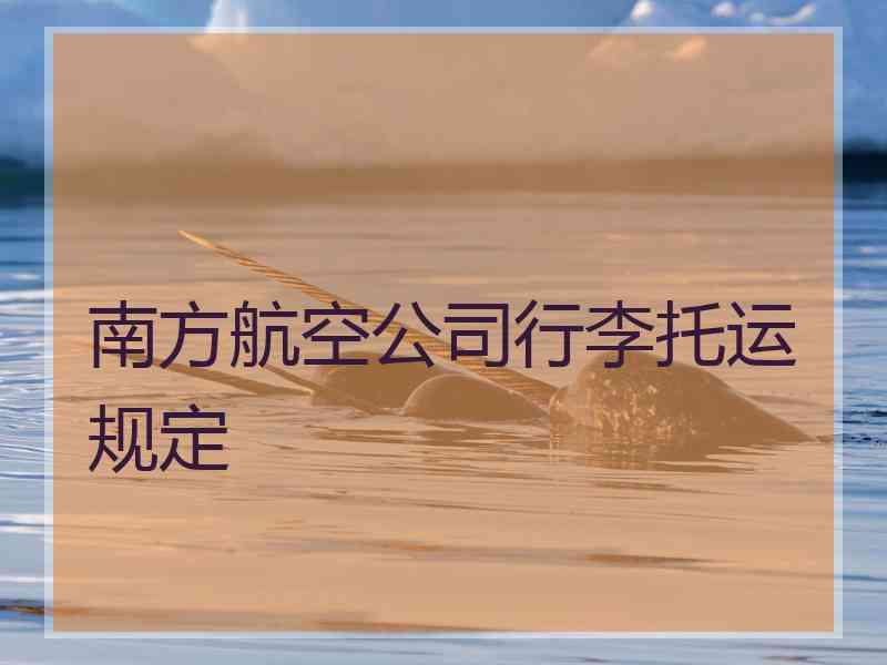 南方航空公司行李托运规定