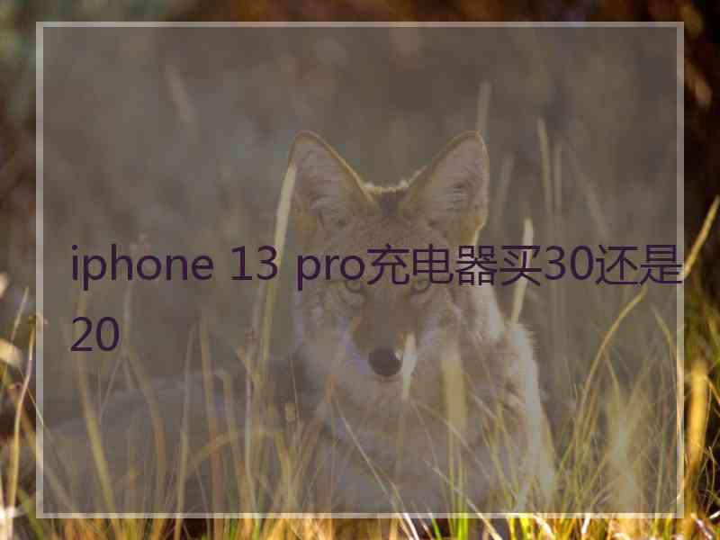 iphone 13 pro充电器买30还是20