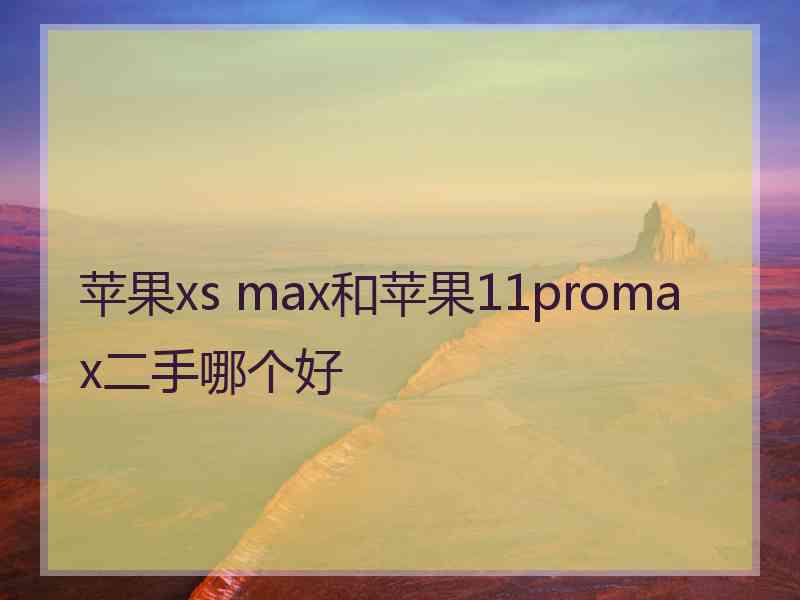 苹果xs max和苹果11promax二手哪个好