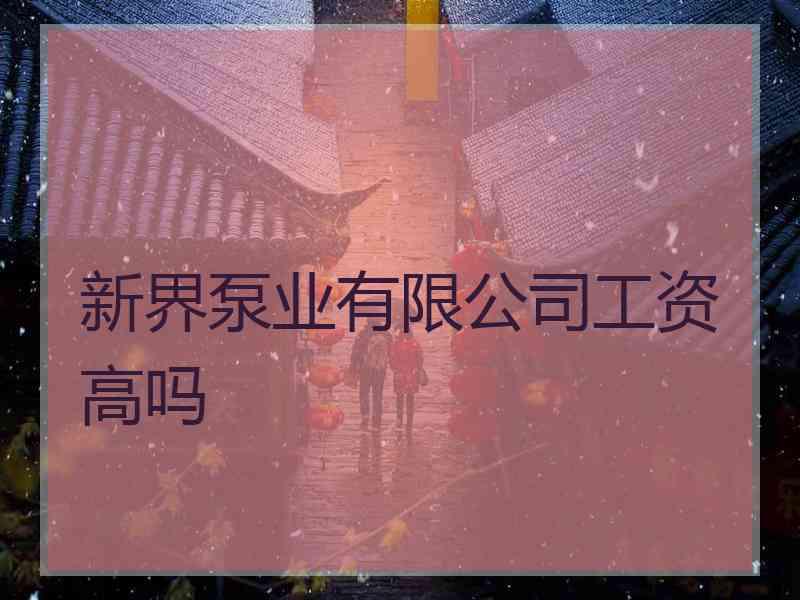 新界泵业有限公司工资高吗