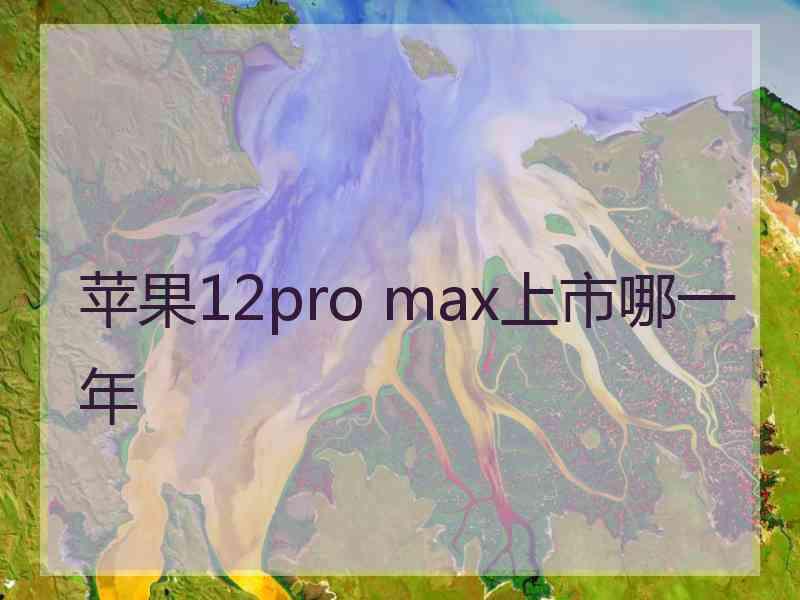 苹果12pro max上市哪一年