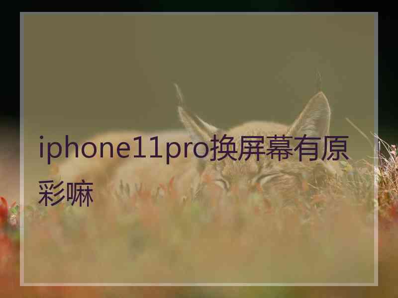 iphone11pro换屏幕有原彩嘛