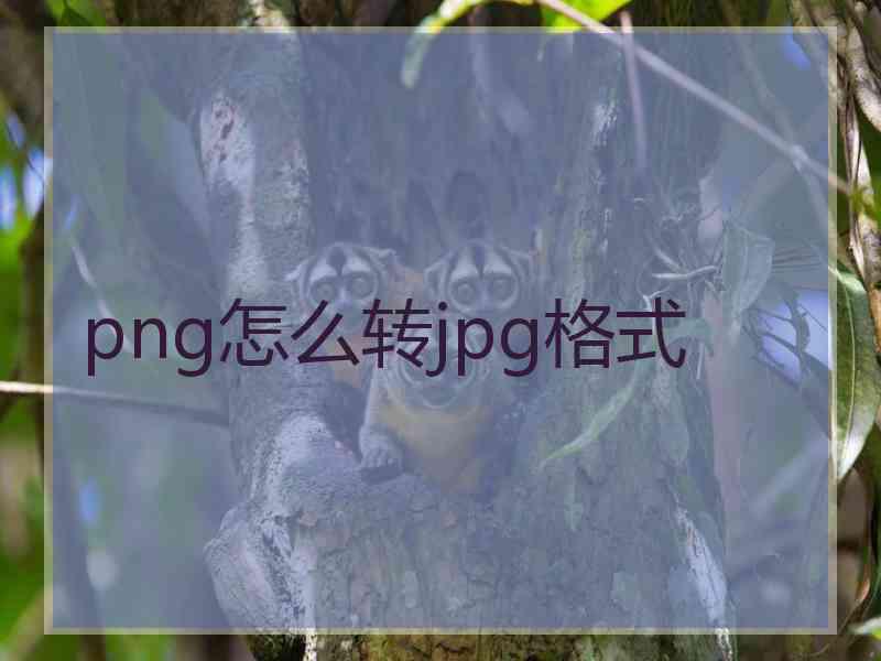 png怎么转jpg格式