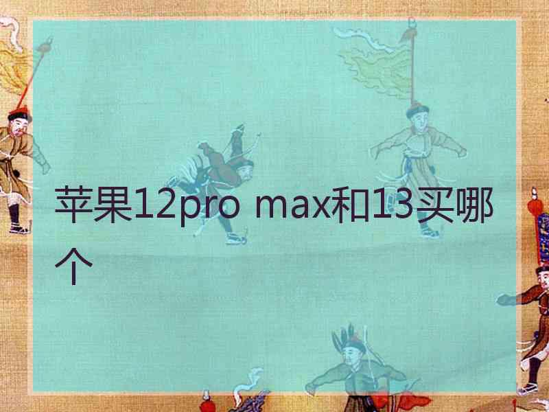 苹果12pro max和13买哪个