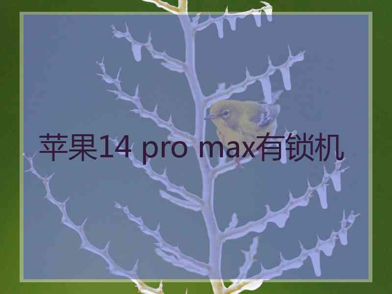 苹果14 pro max有锁机