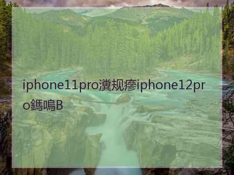 iphone11pro瀵规瘮iphone12pro鎷嗚В