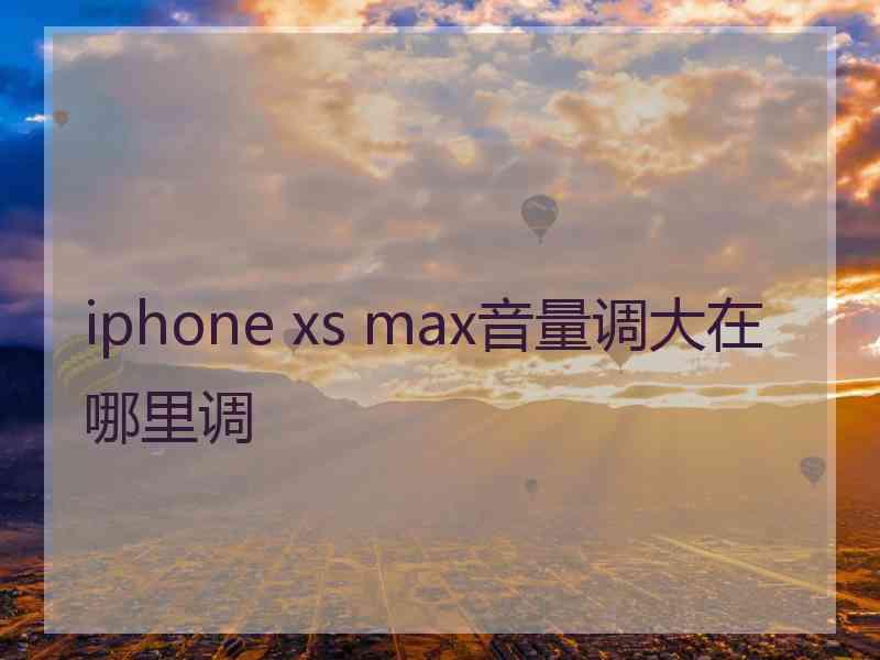 iphone xs max音量调大在哪里调