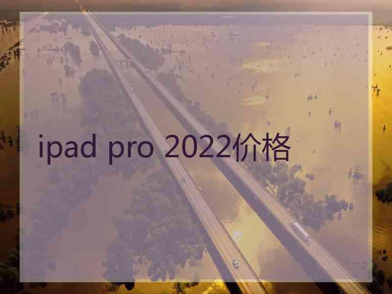 ipad pro 2022价格