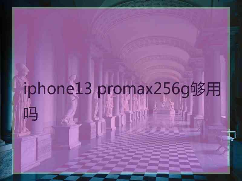 iphone13 promax256g够用吗