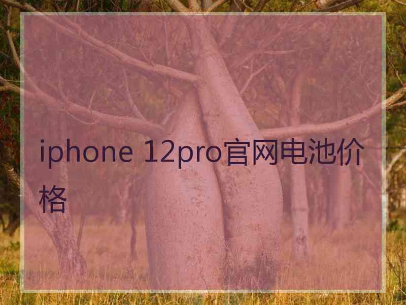 iphone 12pro官网电池价格