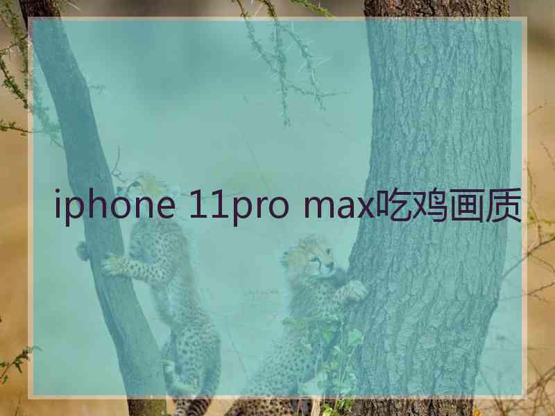 iphone 11pro max吃鸡画质