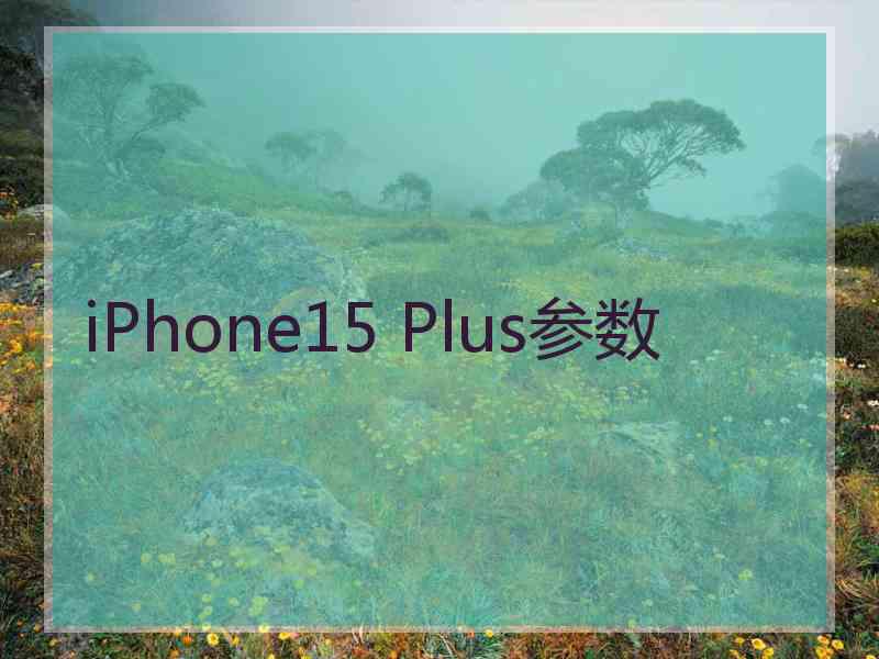 iPhone15 Plus参数