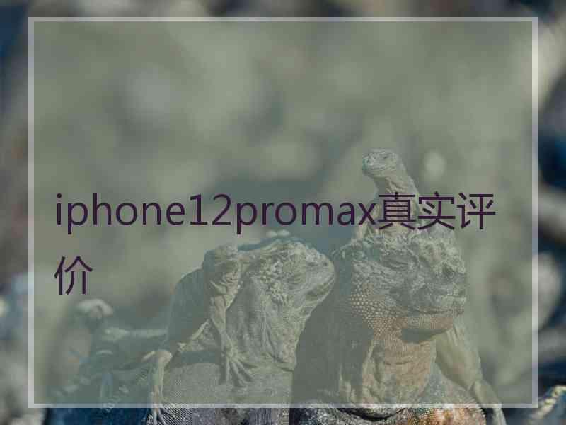 iphone12promax真实评价