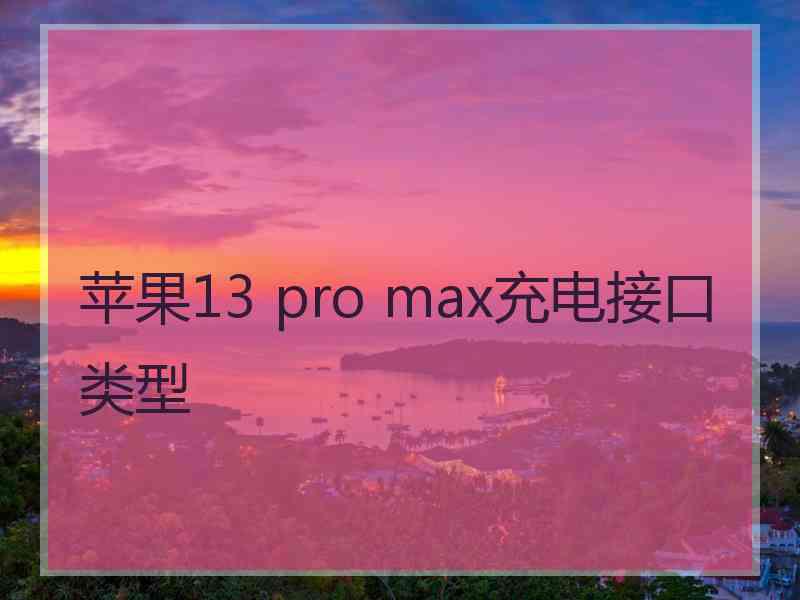 苹果13 pro max充电接口类型