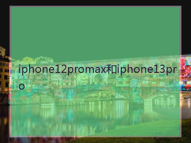 iphone12promax和iphone13pro