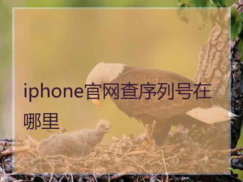 iphone官网查序列号在哪里