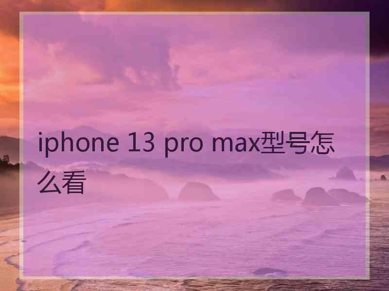 iphone 13 pro max型号怎么看