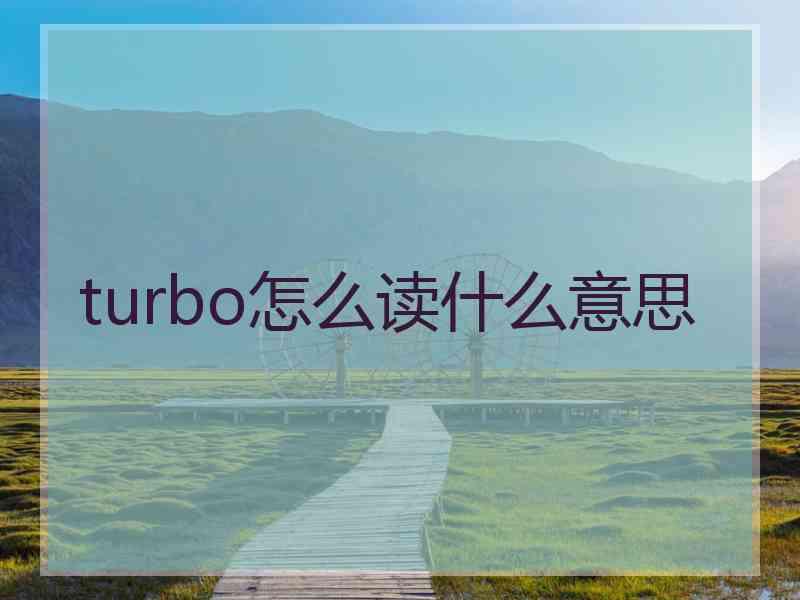 turbo怎么读什么意思