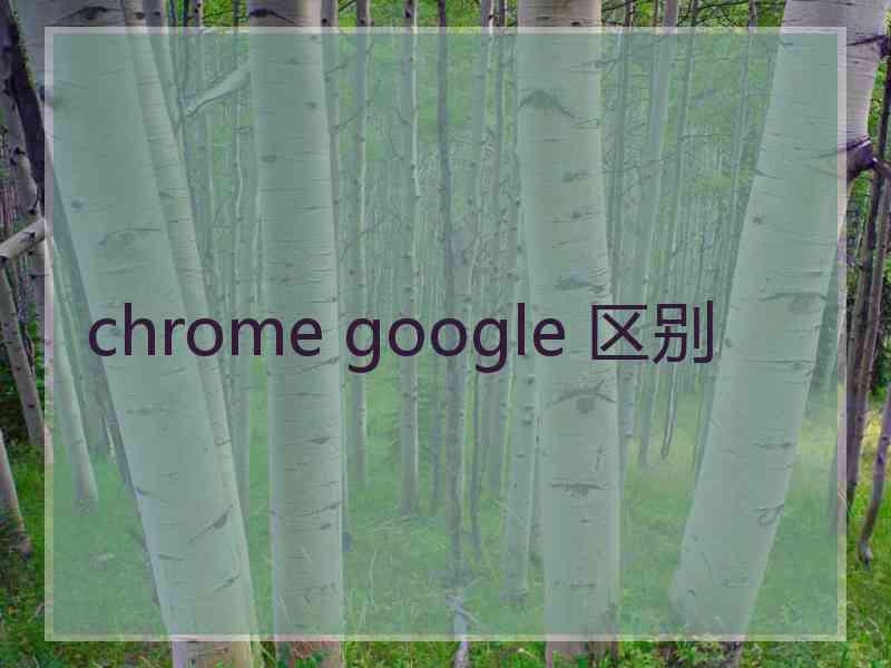 chrome google 区别