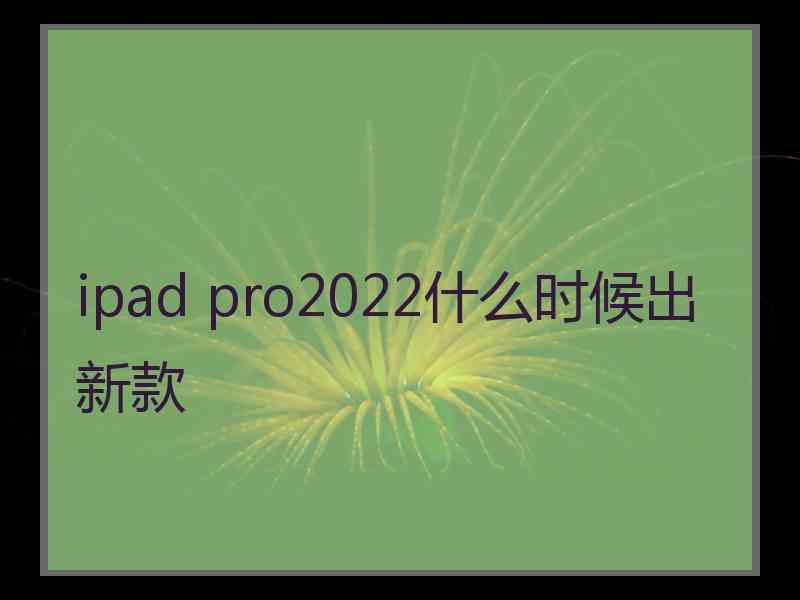 ipad pro2022什么时候出新款