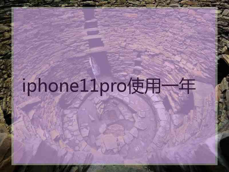 iphone11pro使用一年