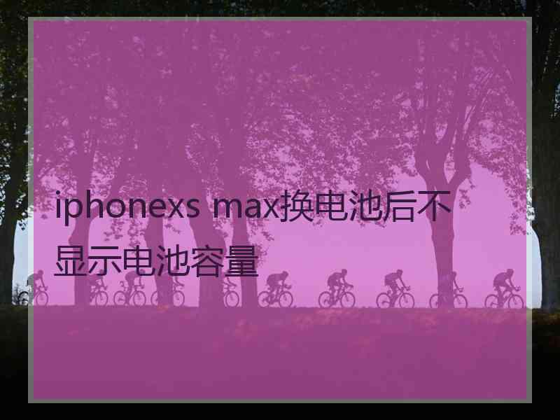 iphonexs max换电池后不显示电池容量