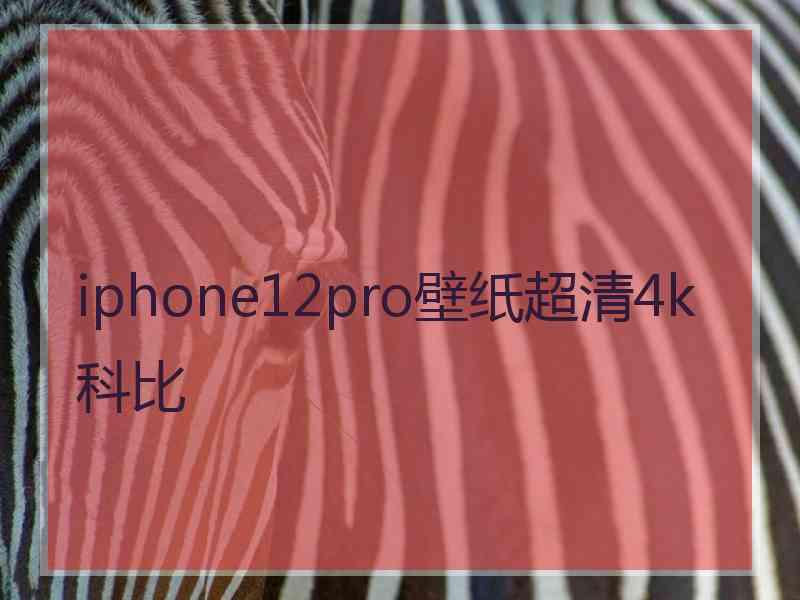 iphone12pro壁纸超清4k科比