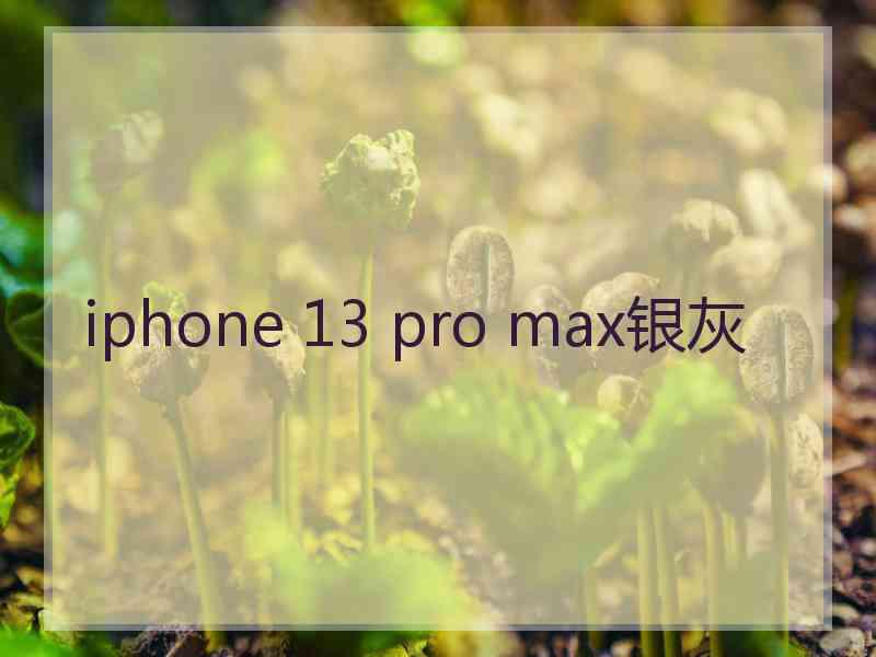 iphone 13 pro max银灰