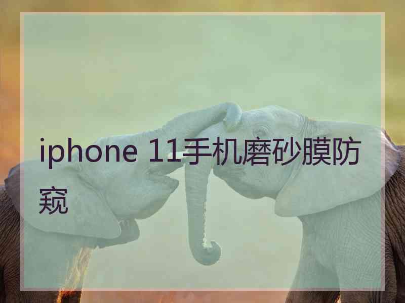 iphone 11手机磨砂膜防窥