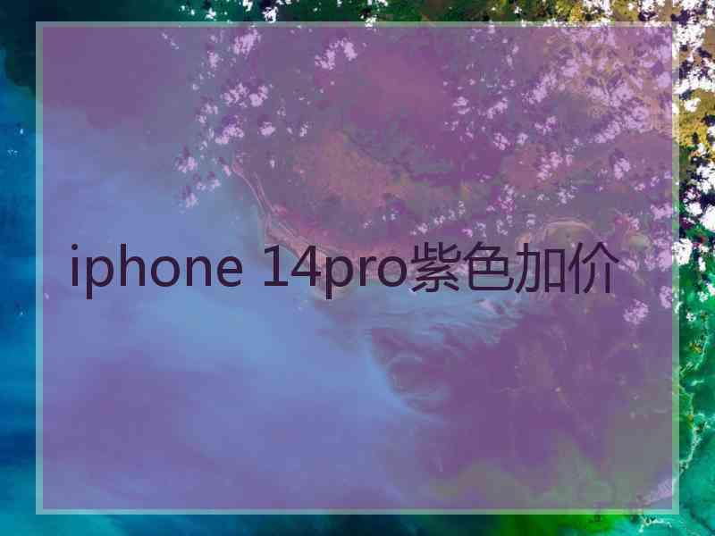 iphone 14pro紫色加价