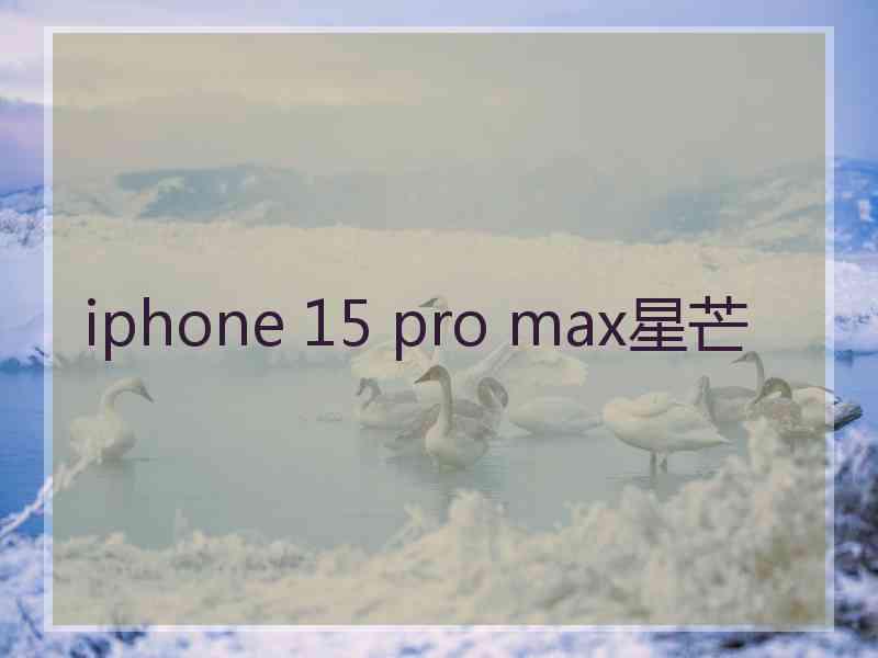 iphone 15 pro max星芒