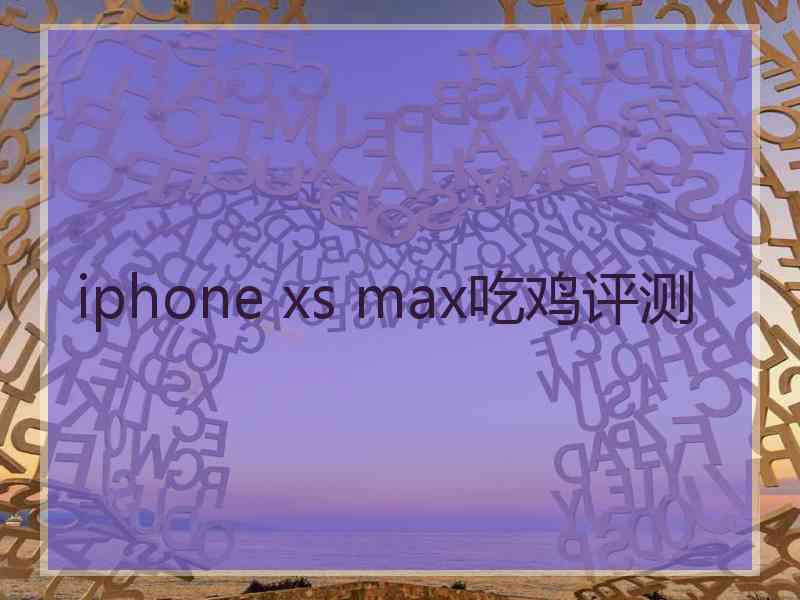 iphone xs max吃鸡评测