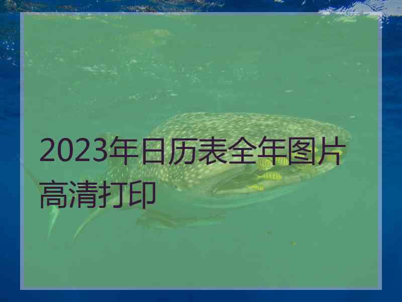 2023年日历表全年图片高清打印