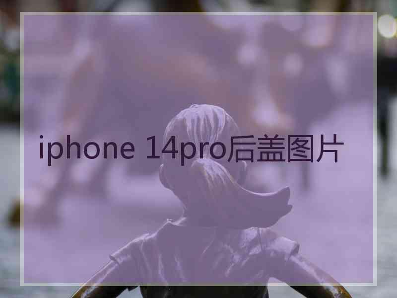 iphone 14pro后盖图片