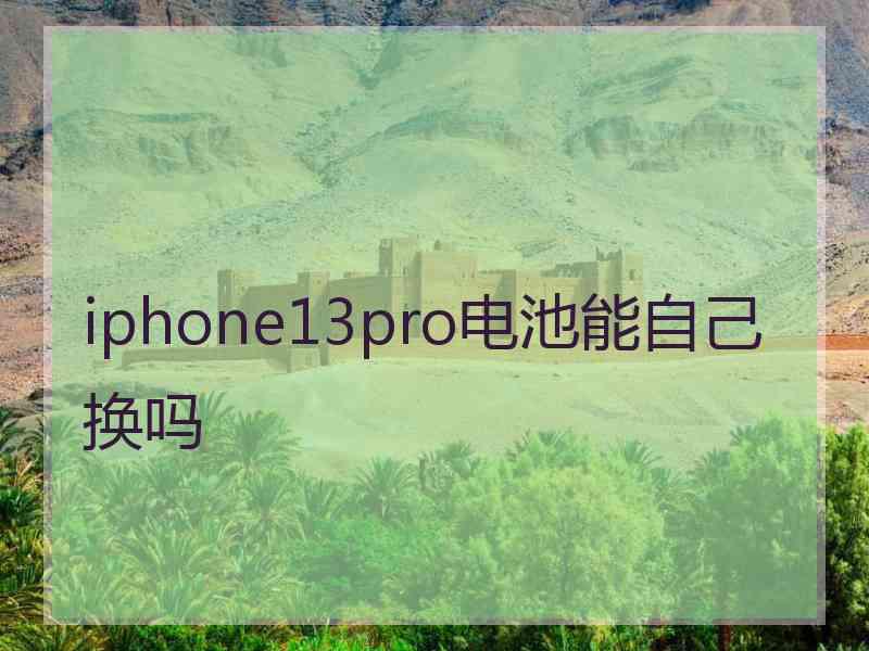 iphone13pro电池能自己换吗