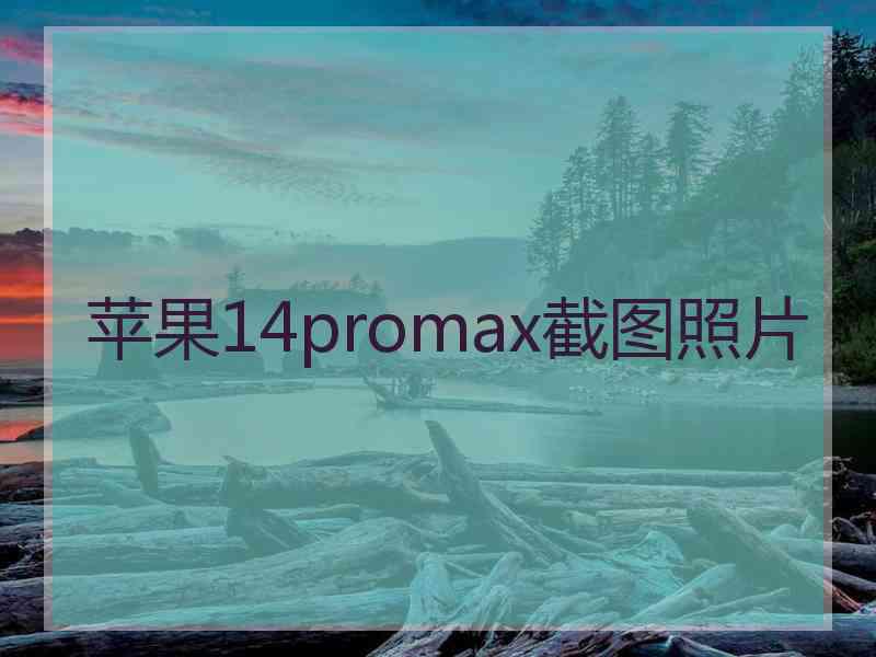 苹果14promax截图照片