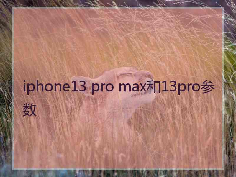 iphone13 pro max和13pro参数