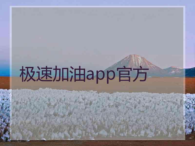 极速加油app官方