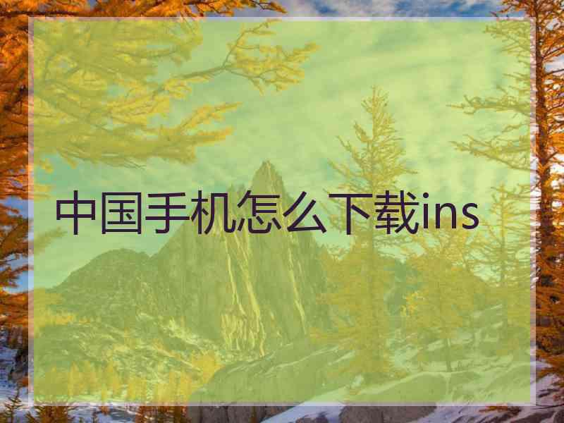 中国手机怎么下载ins