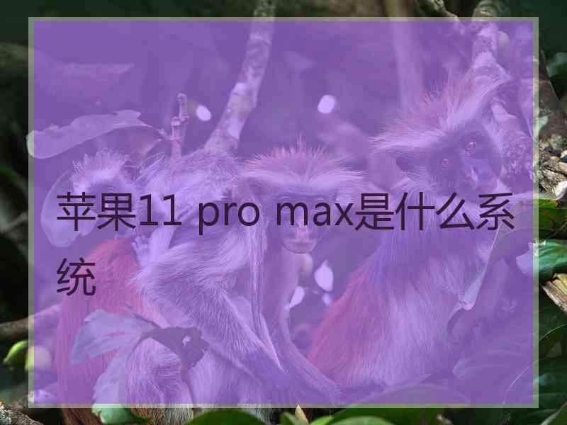 苹果11 pro max是什么系统