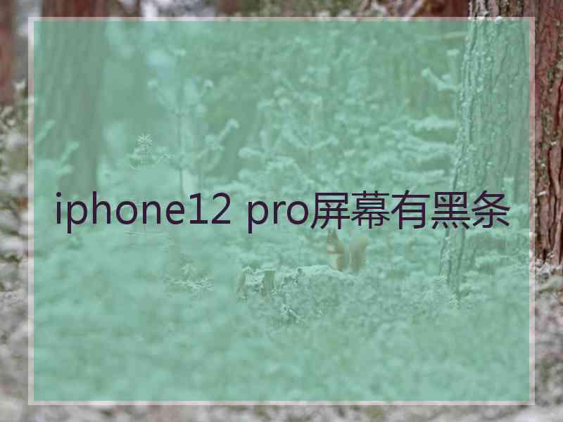 iphone12 pro屏幕有黑条