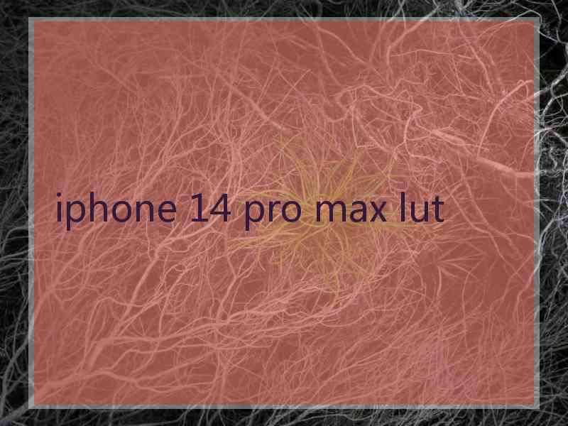 iphone 14 pro max lut