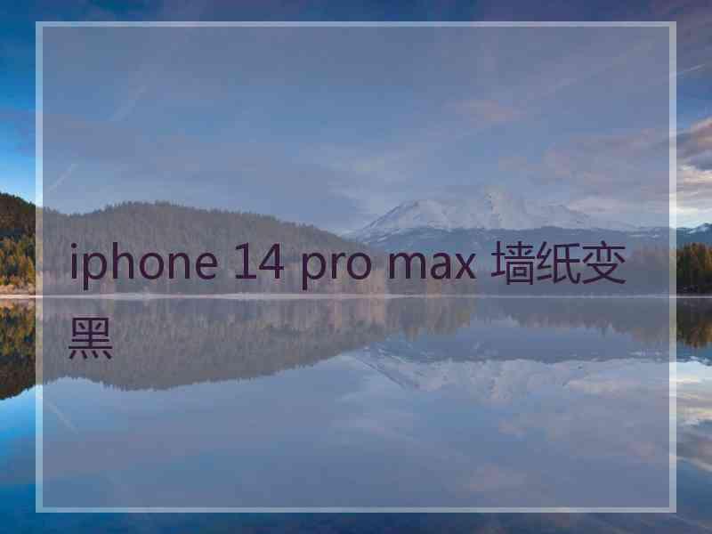 iphone 14 pro max 墙纸变黑